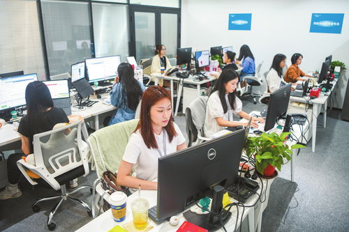 ?？诩铀贁?shù)據(jù)跨境業(yè)務(wù)發(fā)展，打造數(shù)字高地與軟件開發(fā)新引擎