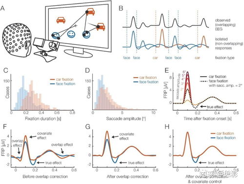 思影科技眼動數據處理服務與軟件開發，賦能精準視覺洞察